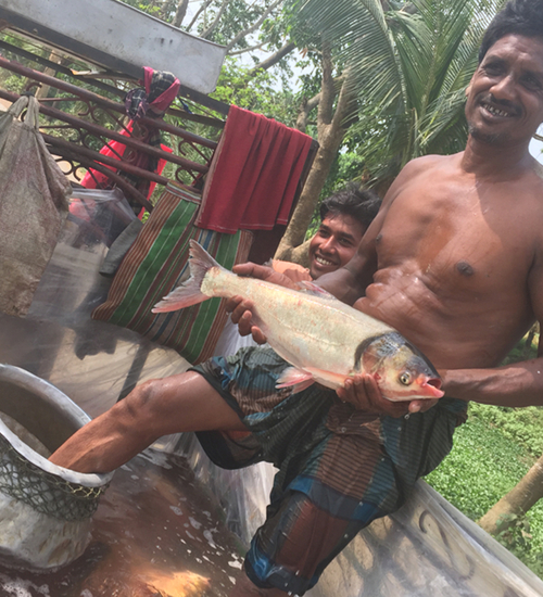 Business models for decentralised renewable energies in Bangladesh