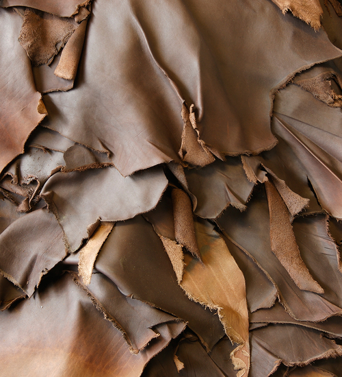 Leather industry associations and Chamber of Commerce in Bangladesh